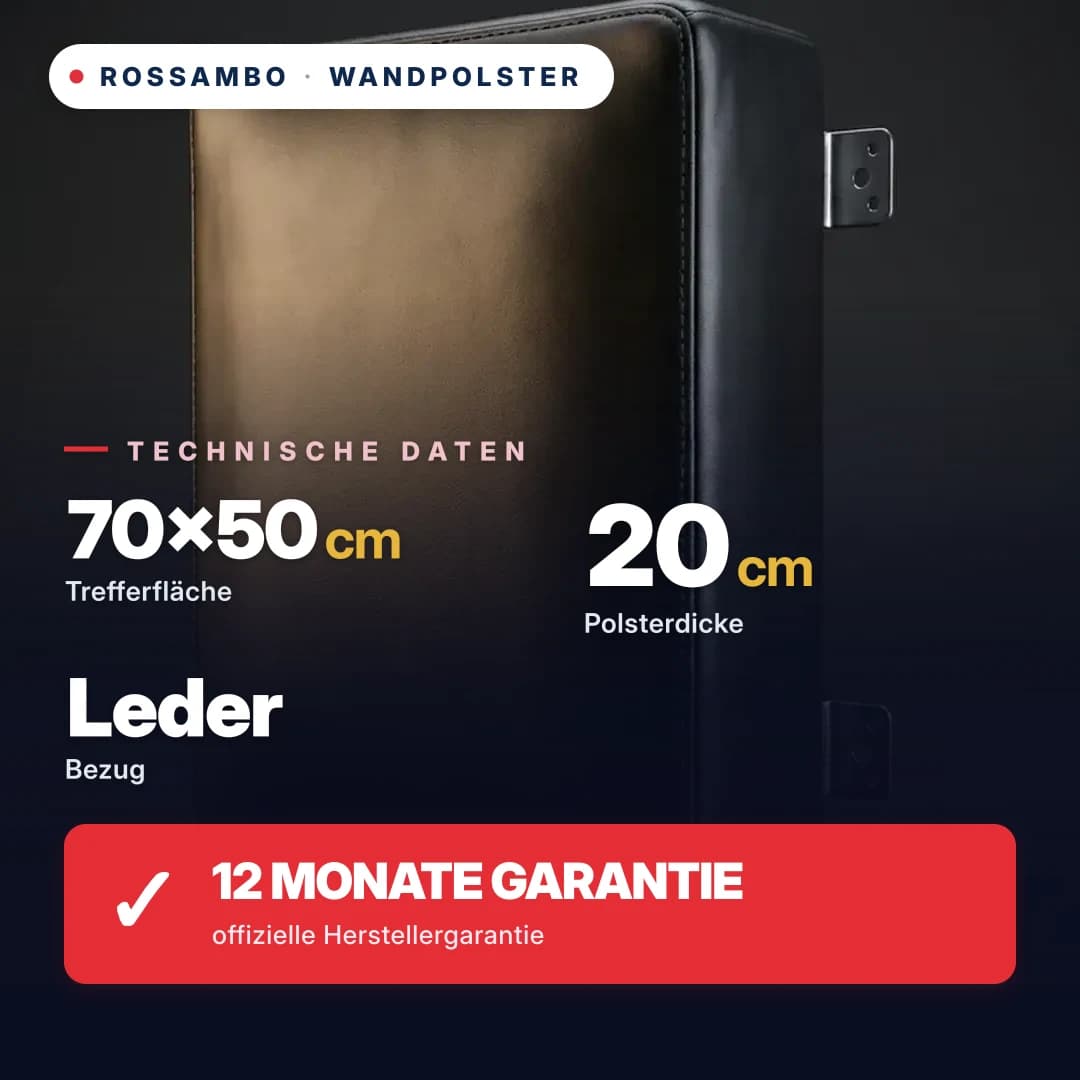 Wandpolster Rechteckig, Leder, 70×50×20 cm