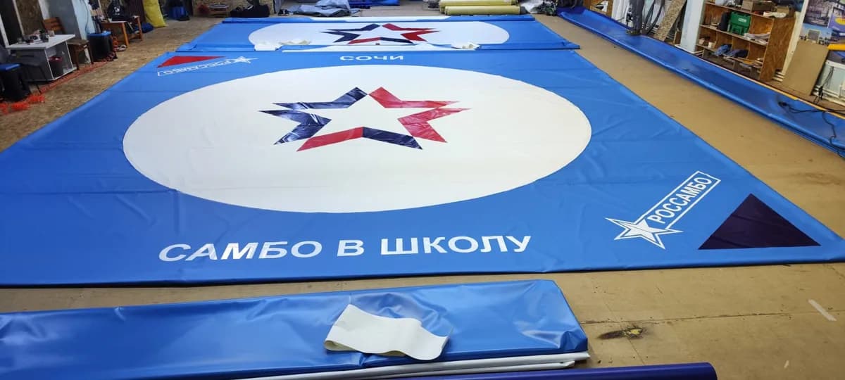 Нанесение логотипа: «Самбо в школу»