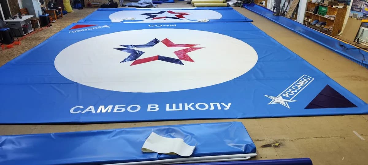 Нанесение логотипа: «Самбо в школу»