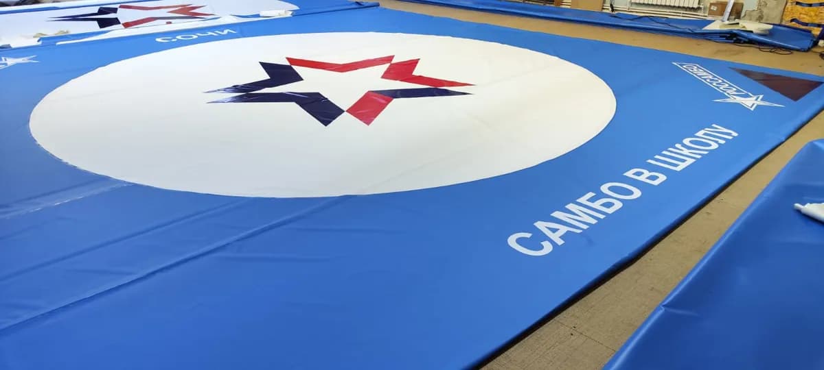 Нанесение логотипа: «Самбо в школу»