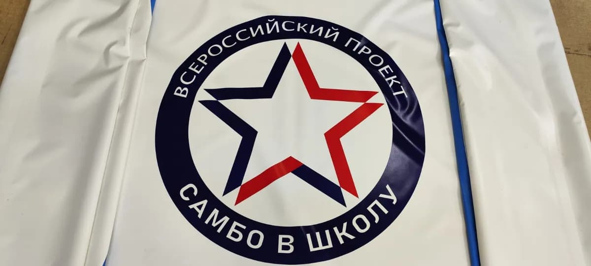 Нанесение логотипа: «Самбо в школу»