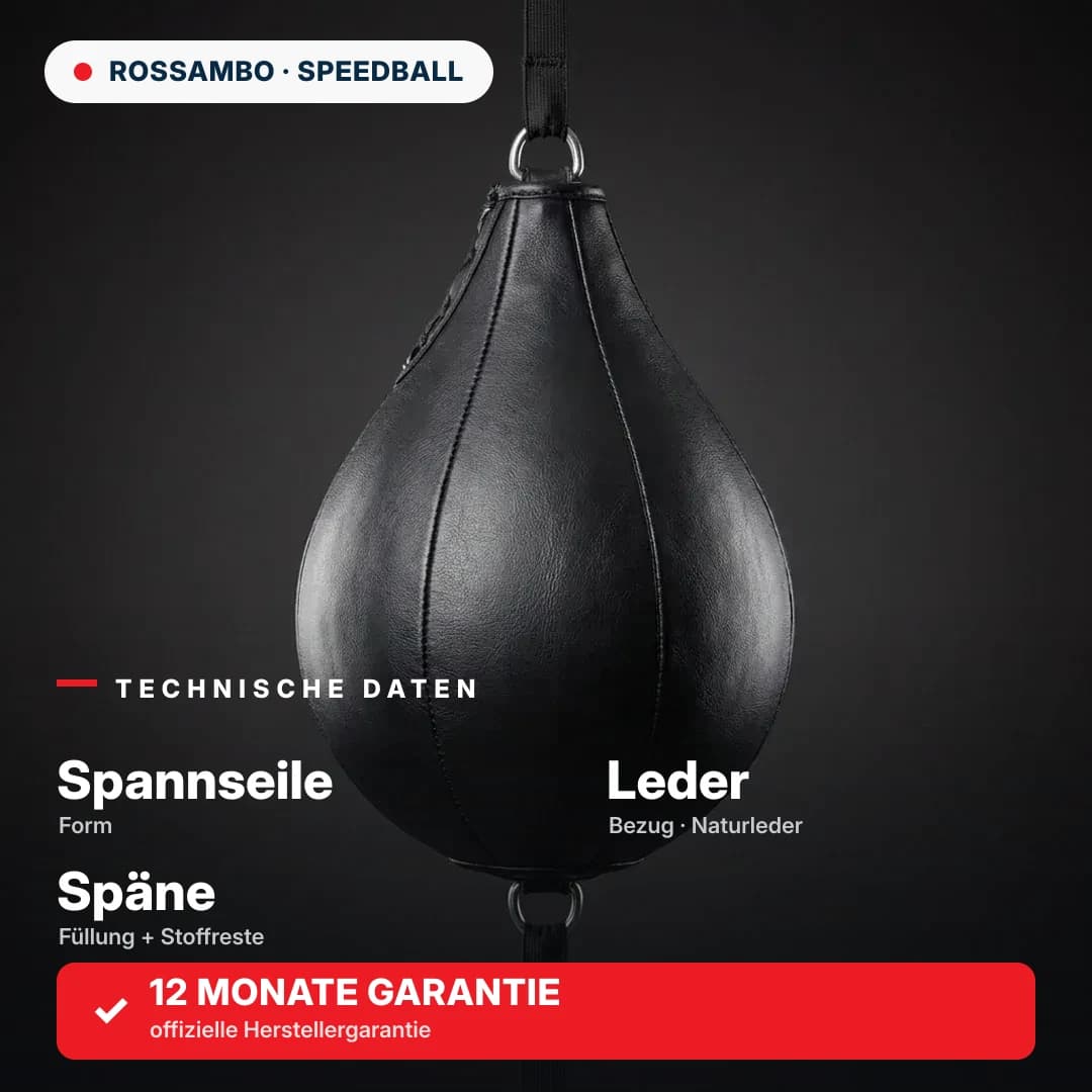 Boxbirne mit Spannseilen, Leder